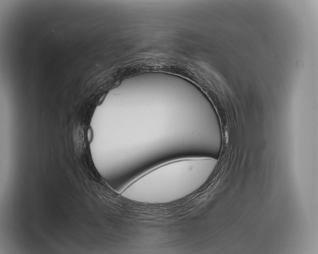 X0000116141347200911230923