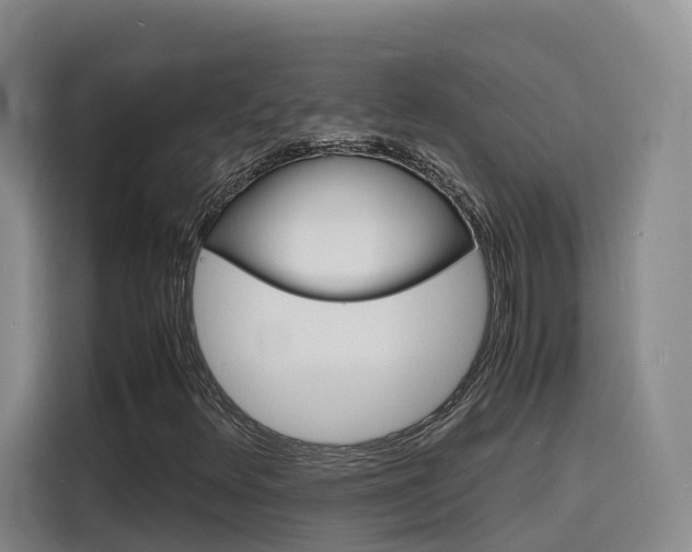 X0000116141348200911230923