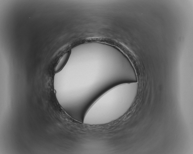 X0000116141351200911230923