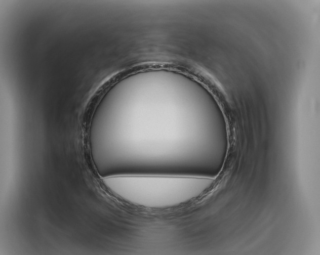 X0000116141352200911230923