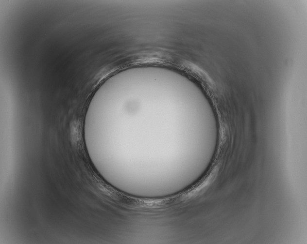 X0000116141353200911230923