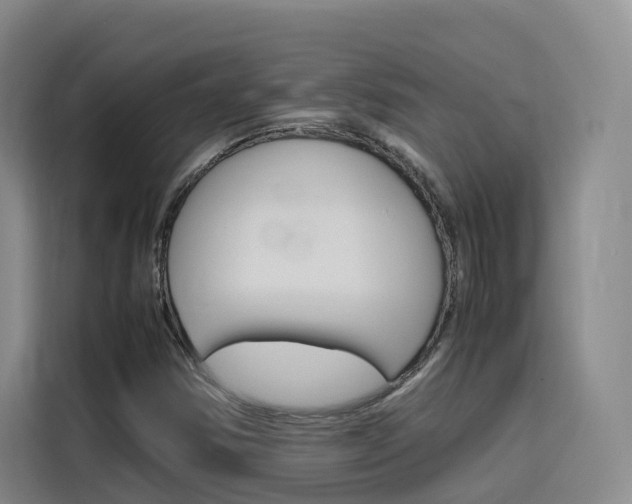 X0000116141354200911230923