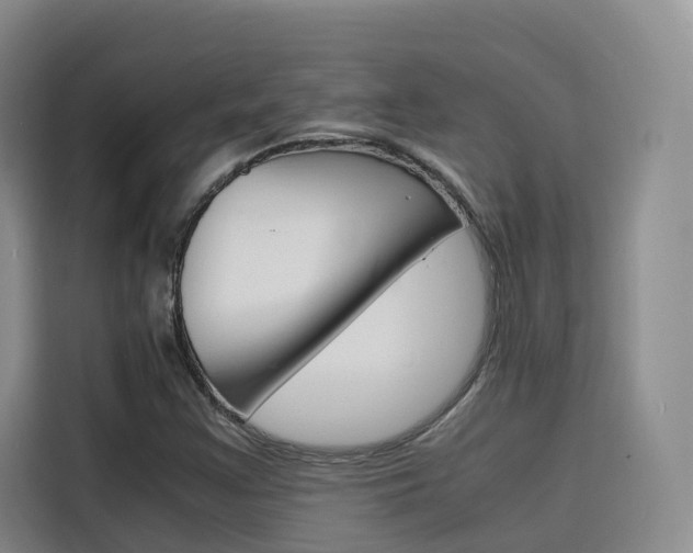 X0000116141355200911230923