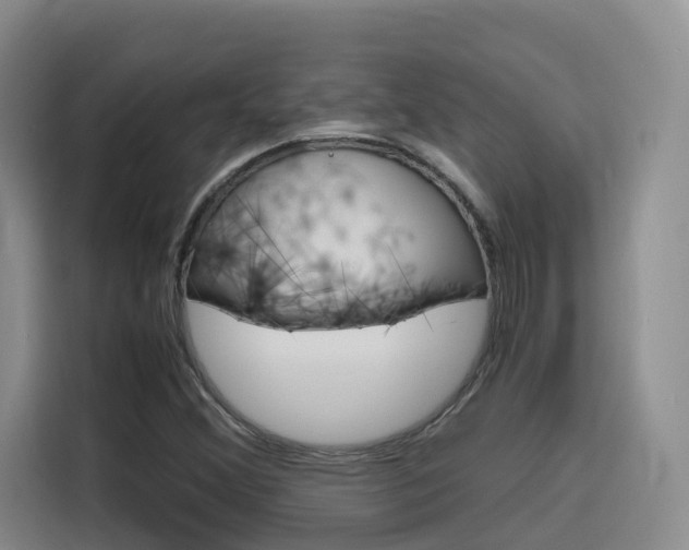 X0000116141356200911230923