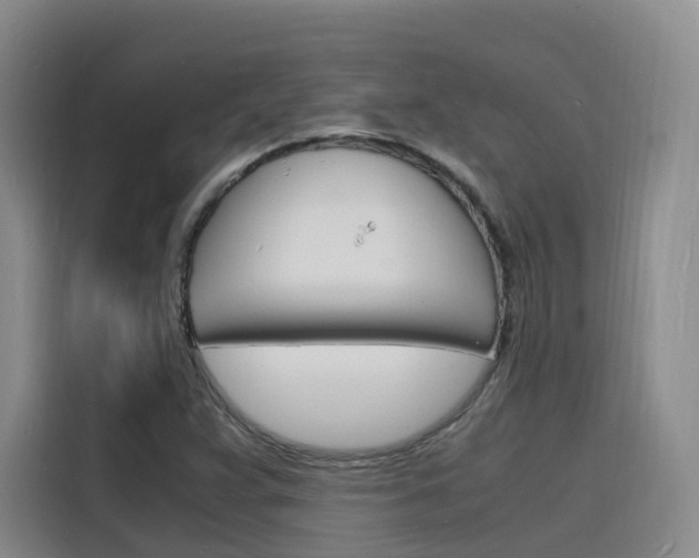 X0000116141359200911230923