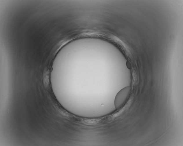 X0000116141361200911230923