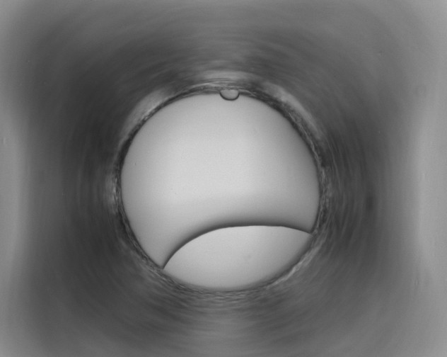 X0000116141362200911230923
