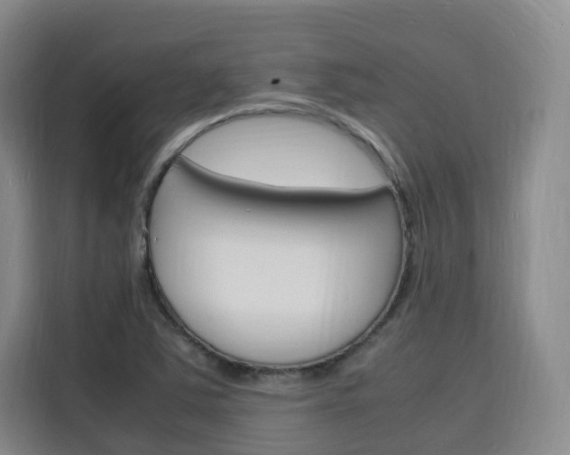 X0000116141363200911230923