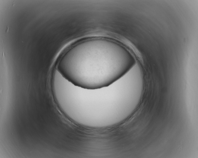 X0000116141368200911230923