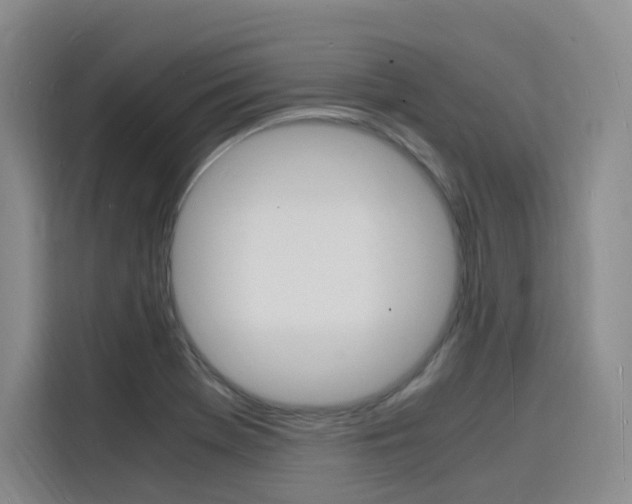 X0000116141369200911230923