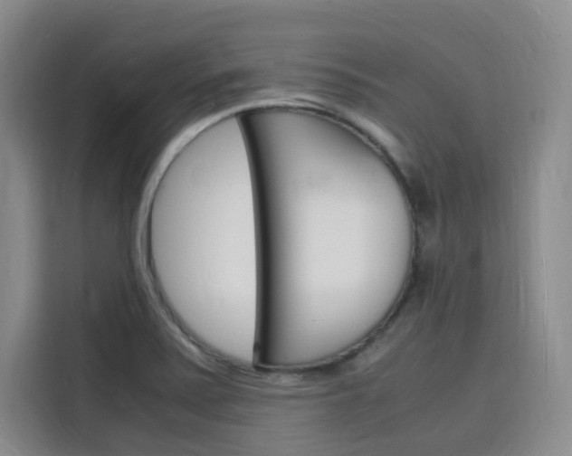X0000116141371200911230923
