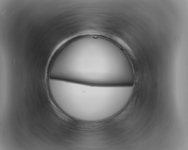 X0000116141372200911230923