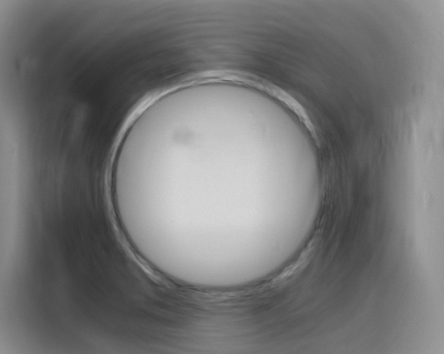 X0000116141373200911230923