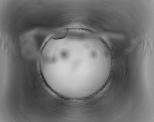 X0000116141374200911230923