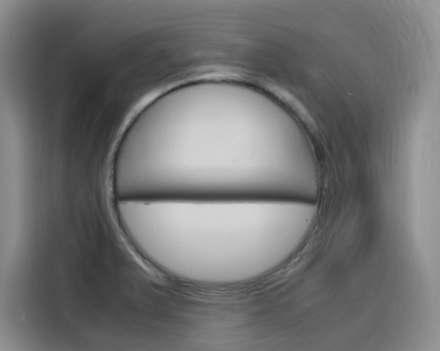 X0000116141375200911230923