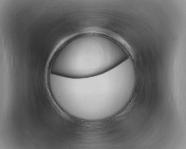 X0000116141376200911230923