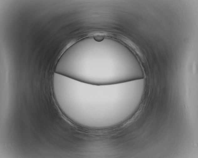 X0000116141377200911230923