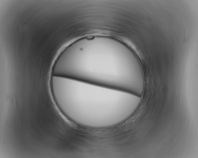 X0000116141379200911230923
