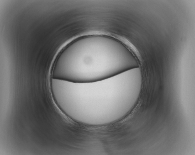 X0000116141380200911230923