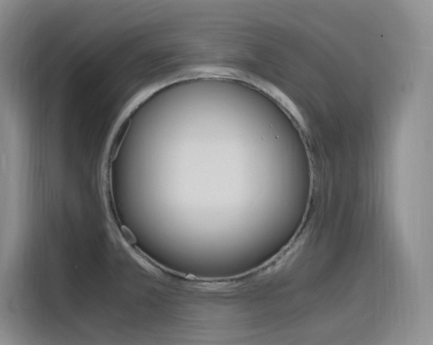 X0000116141381200911230923