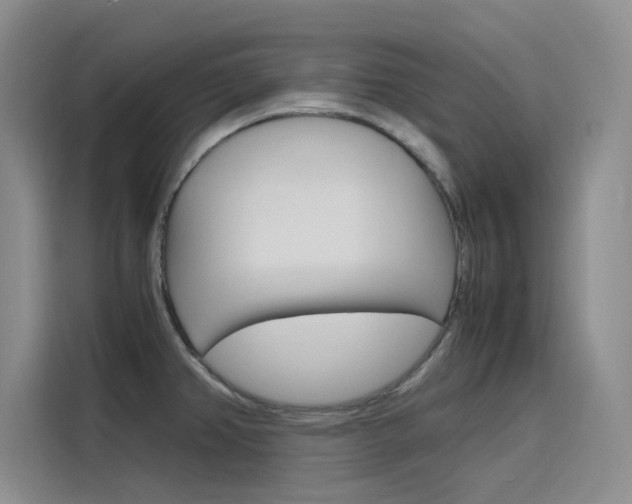 X0000116141382200911230923