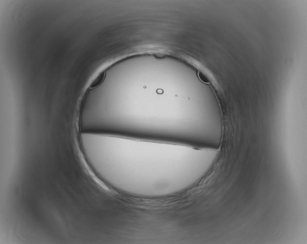 X0000116141383200911230923