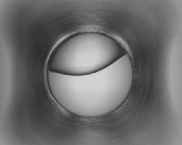 X0000116141384200911230923