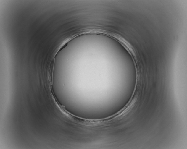 X0000116141385200911230923