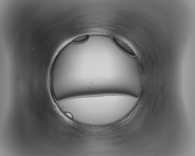 X0000116141387200911230923