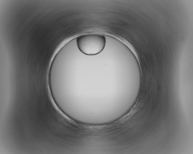 X0000116141389200911230923