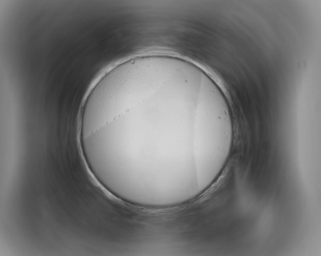 X0000116141390200911230923