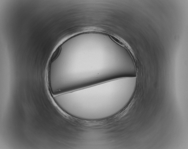 X0000116141391200911230923