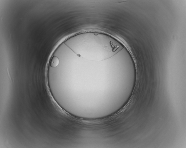 X0000116141392200911230923