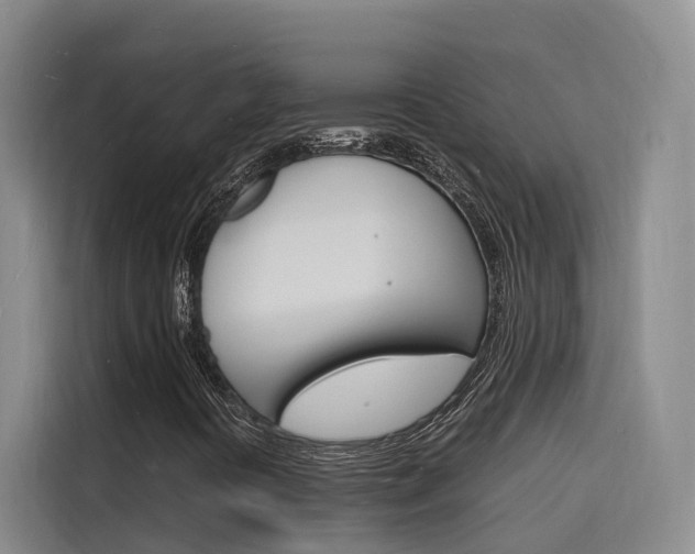X0000116141394200911230922