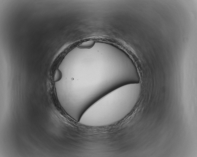 X0000116141400200911230922