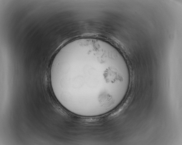 X0000116141401200911230922