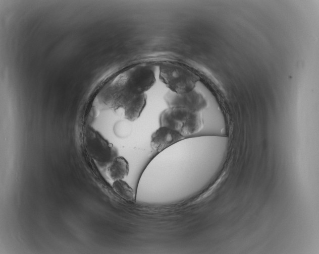 X0000116141405200911230922