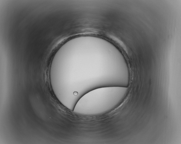 X0000116141407200911230922