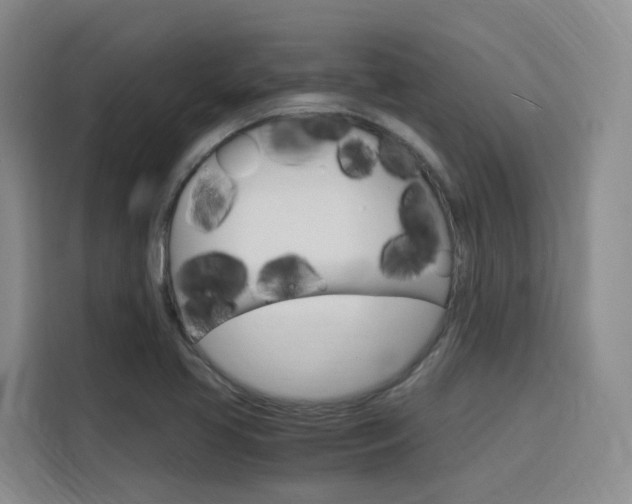 X0000116141413200911230922
