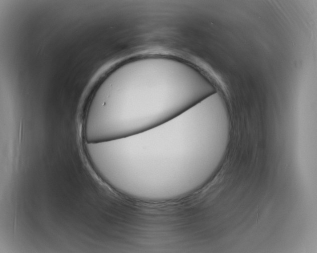 X0000116141416200911230922