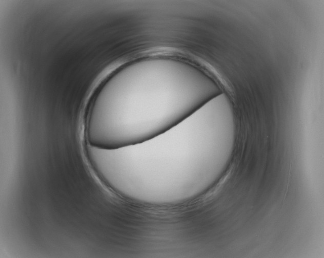 X0000116141418200911230922