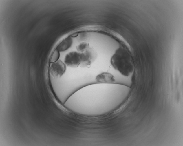 X0000116141421200911230922