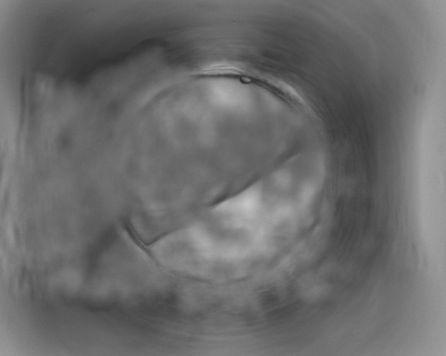 X0000116141422200911230922
