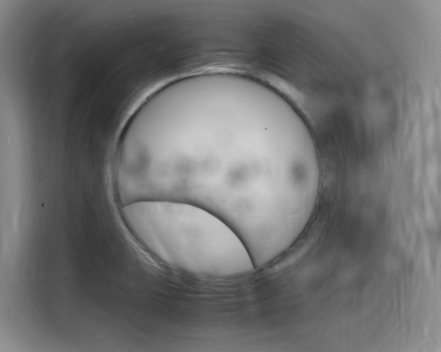 X0000116141423200911230922