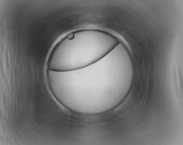 X0000116141424200911230922