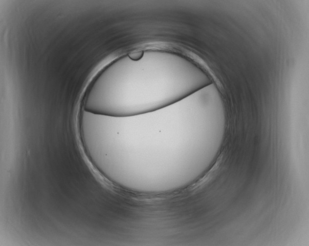 X0000116141426200911230922