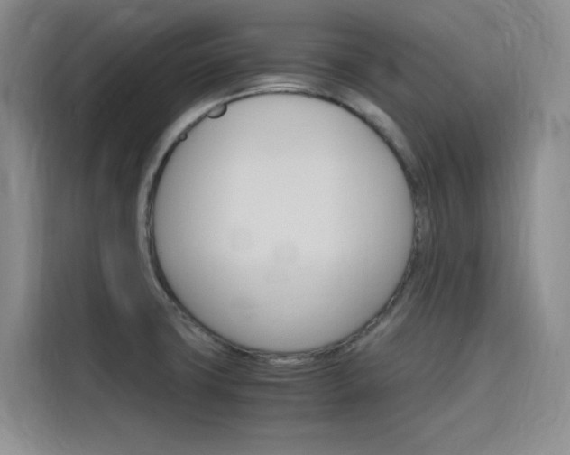 X0000116141427200911230923