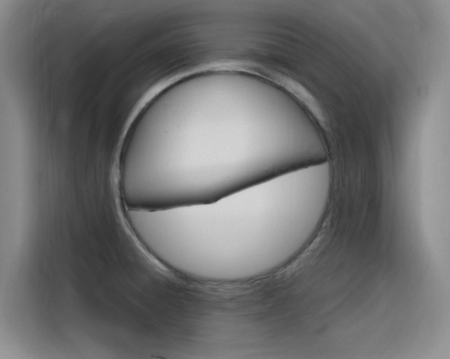 X0000116141428200911230923