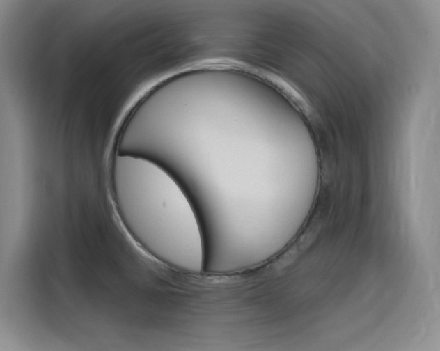 X0000116141430200911230923