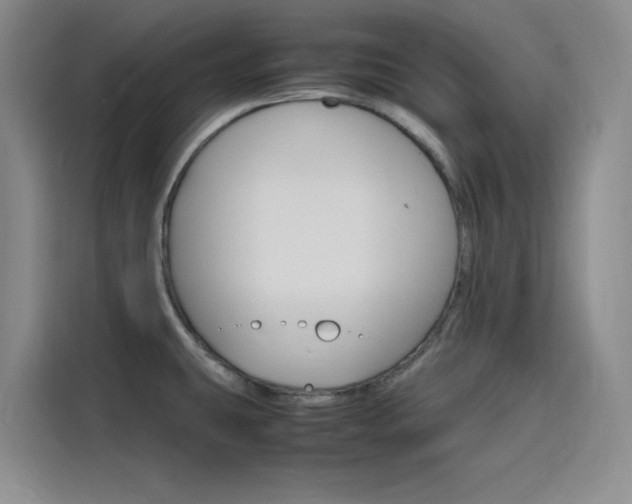 X0000116141431200911230923